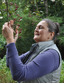 Julia Russell Herbalist